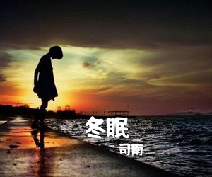 司南《冬眠吉他谱》(C调)
