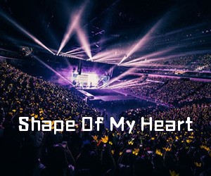 《Shape Of My Heart吉他谱》