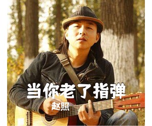 赵照《当你老了指弹吉他谱》