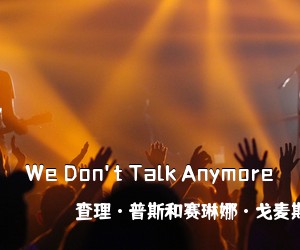 查理·普斯和赛琳娜·戈麦斯《We Don't Talk Anymore吉他谱》