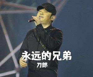 刀郎《永远的兄弟吉他谱》(C调)