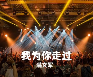 满文军《我为你走过吉他谱》(D调)