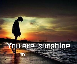 my《You are  sunshine吉他谱》