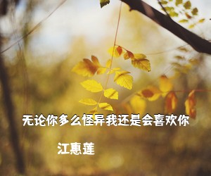 江惠莲《无论你多么怪异我还是会喜欢你吉他谱》