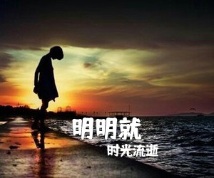 时光流逝《明明就吉他谱》(C调)