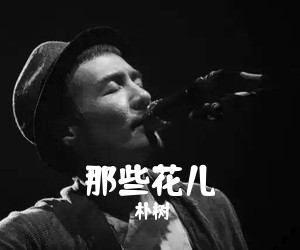 朴树《那些花儿吉他谱》(G调)