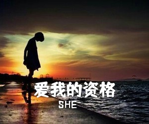SHE《爱我的资格吉他谱》(C调)
