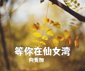 向贡加《等你在仙女湾简谱》