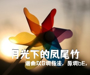 谱曲以G调指法，原调bE，附带《月光下的凤尾竹吉他谱》(G调)