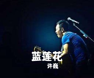 许巍《蓝莲花吉他谱》