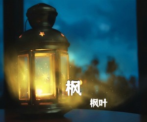 枫叶《枫吉他谱》(C调)