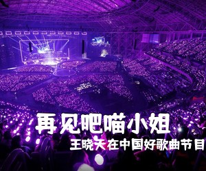 王晓天在中国好歌曲节目中《再见吧喵小姐吉他谱》(C调)