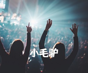 《小毛驴吉他谱》(C调)