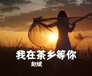 赵斌《我在茶乡等你简谱》