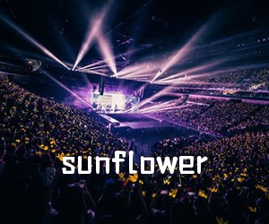 《sunflower吉他谱》