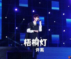 许嵩《梧桐灯吉他谱》(G调)
