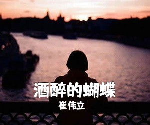 崔伟立《酒醉的蝴蝶吉他谱》