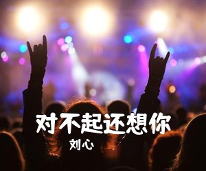刘心《对不起还想你吉他谱》(A调)