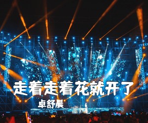 卓舒晨《走着走着花就开了吉他谱》(C调)