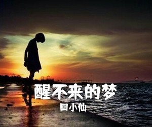 回小仙《醒不来的梦吉他谱》(G调)