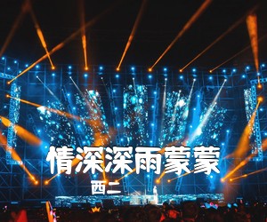 西二《情深深雨蒙蒙吉他谱》(C调)