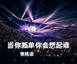 张栋梁《当你孤单你会想起谁吉他谱》(C调)