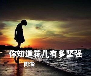 周澎《你知道花儿有多坚强简谱》