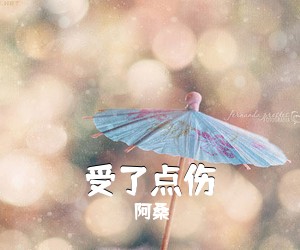 阿桑《受了点伤吉他谱》(C调)