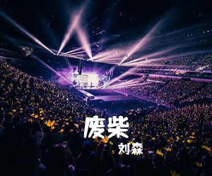 刘森《废柴吉他谱》(C调)