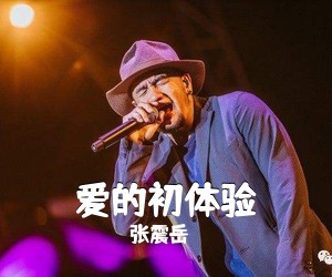 张震岳《爱的初体验吉他谱》