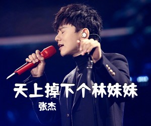 张杰《天上掉下个林妹妹吉他谱》(C调)