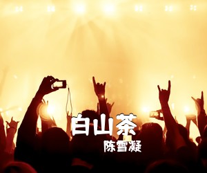 陈雪凝《白山茶吉他谱》(C调)