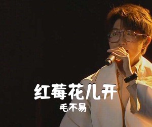 毛不易《红莓花儿开吉他谱》