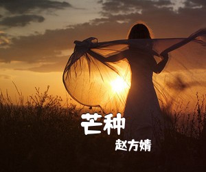 赵方婧《芒种吉他谱》(G调)