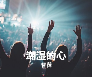 甘萍《潮湿的心吉他谱》(G调)