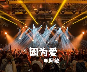 毛阿敏《因为爱简谱》