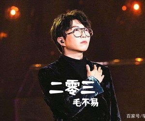 毛不易《二零三吉他谱》(G调)