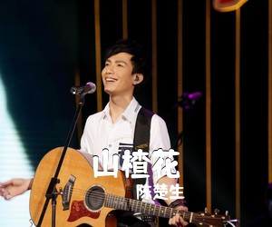 陈楚生《山楂花吉他谱》(G调)