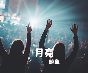 鲸鱼《月亮吉他谱》(G调)