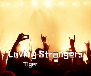 Tiger《Loving Strangers吉他谱》