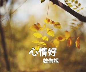 魏伽妮《心情好简谱》