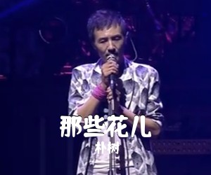 朴树《那些花儿吉他谱》(G调)
