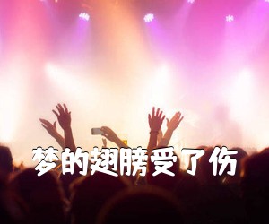 《梦的翅膀受了伤吉他谱》(C调)