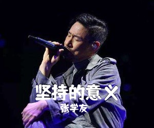 张学友《坚持的意义吉他谱》(G调)