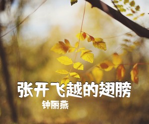钟丽燕《樱花美简谱》
