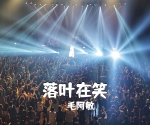 毛阿敏《落叶在笑简谱》