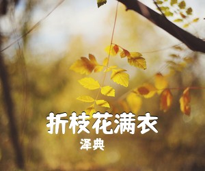 泽典《折枝花满衣吉他谱》(G调)