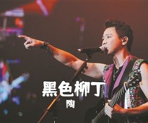 陶喆《黑色柳丁吉他谱》(C调)