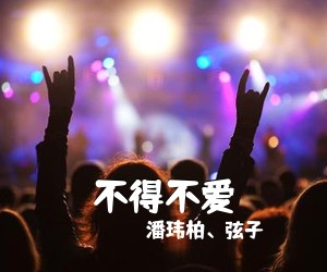 潘玮柏、弦子《不得不爱吉他谱》(G调)