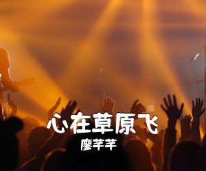 廖芊芊《心在草原飞简谱》